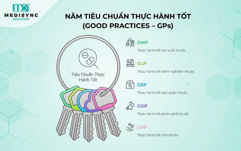 Năm tiêu chuẩn thực hành tốt